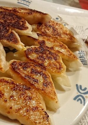 ツナと白菜とキャベツの餃子-レシピのメイン写真