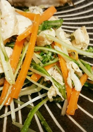 鶏ササミと水菜のデリ風サラダ-レシピのメイン写真