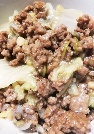 簡単★挽肉と白菜のあんかけ丼-レシピのメイン写真
