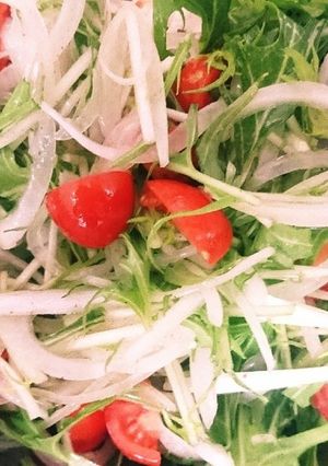 玉ねぎと水菜のマリネ-レシピのメイン写真