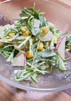 栄養満点☆りんごと水菜の簡単サラダ♡-レシピのメイン写真