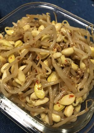 絶品 大豆の豆もやし ピリ辛ナムル-レシピのメイン写真