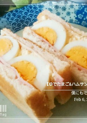 僕にもできた【ゆでたまご&ハムサンド】-レシピのメイン写真