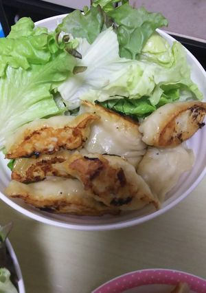 手作り餃子-レシピのメイン写真