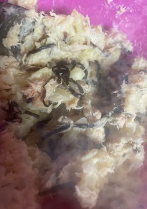 塩昆布とノンオイルツナ缶のポテトサラダ-レシピのメイン写真