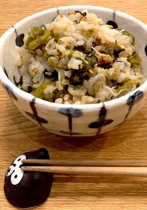 混ぜるだけ＊じゃこと高菜の旨味ごはん-レシピのメイン写真