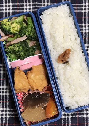 20190208マイ弁当-レシピのメイン写真