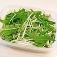 長持ち!水菜の冷蔵、冷凍保存方法