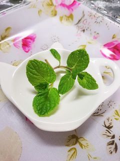 ミントを新鮮なまま長持ちさせる保存方法-レシピのメイン写真