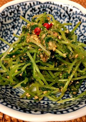 2分で簡単あと一品！豆苗のごま胡麻あえ-レシピのメイン写真