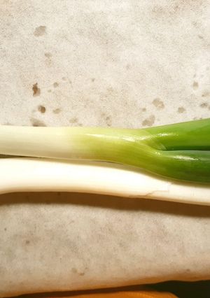 長葱の保存法-レシピのメイン写真