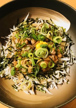パック&パックの前菜●しらす&納豆の前菜-レシピのメイン写真