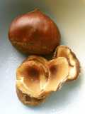 かちぐり🌰