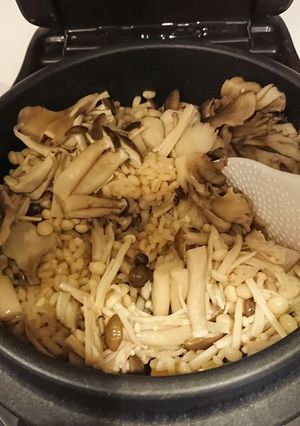 きのこたっぷりごはん-レシピのメイン写真