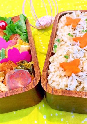 1月30日 味噌カツ 受験生応援弁当-レシピのメイン写真
