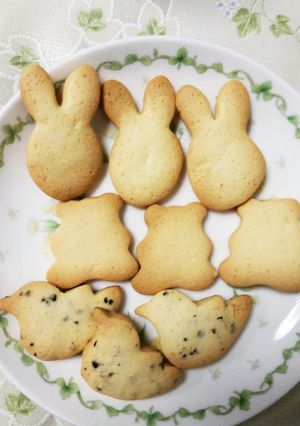 堅くて素朴なクッキー(強力粉使用)-レシピのメイン写真
