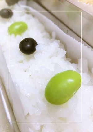 おとなのdeco弁✧黒＆緑の翡翠ごはん-レシピのメイン写真