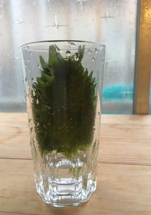 青じその保存-レシピのメイン写真