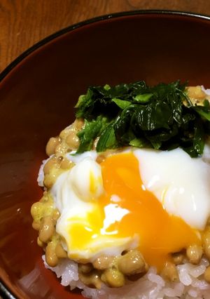 時短簡単、温玉納豆丼②-レシピのメイン写真