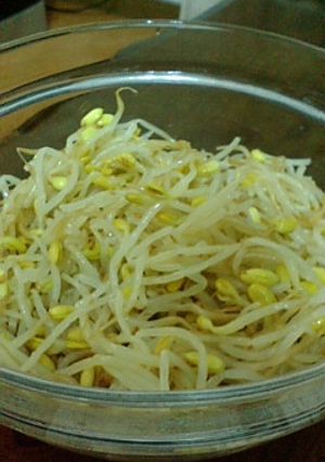 豆もやしぃ～☆-レシピのメイン写真