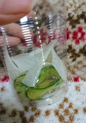 大根とキュウリの漬け物-レシピのメイン写真