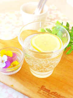 無糖炭酸水でサイダー♬-レシピのメイン写真