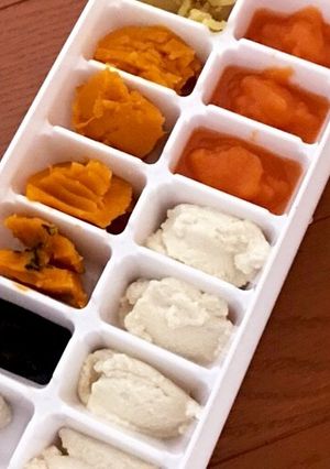 離乳食 初期 1週間分冷凍保存-レシピのメイン写真