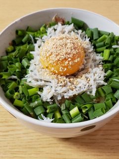 ランチに絶品♡釜揚げしらす丼♡-レシピのメイン写真