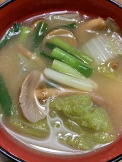 やまなめこと白菜のお味噌汁-レシピのメイン写真
