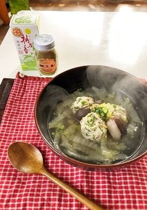 さわやか柚子胡椒の獅子頭スープ-レシピのメイン写真