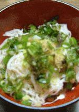 夏はやっぱりちょ～さっぱり☆そうめんでしょ!青梅しょう油(55048)を使ったレシピ第二弾♪-レシピのメイン写真