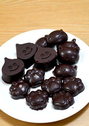 カカオ豆から作る 手作りチョコレート-レシピのメイン写真