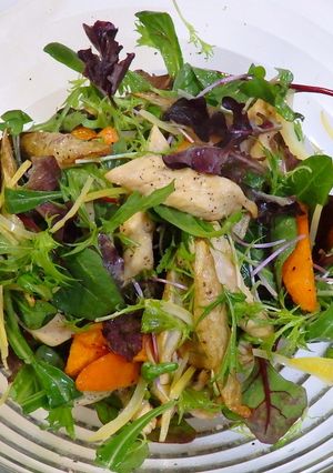 揚げた根菜と鶏胸肉のサラダ-レシピのメイン写真
