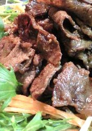 ヘルシーさっぱり焼肉サラダ♪-レシピのメイン写真