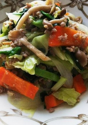 キャベツ常備野菜と挽肉の味噌炒め♪-レシピのメイン写真
