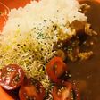 レトルトカレー☆スプラウトのサラダ横盛り