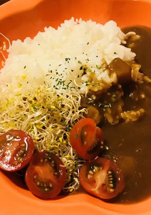 レトルトカレー☆スプラウトのサラダ横盛り-レシピのメイン写真