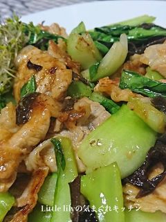 豚肉と青梗菜のオイスター風味-レシピのメイン写真