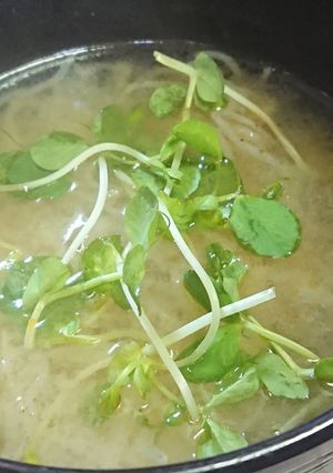 しらたき味噌ラーメン-レシピのメイン写真