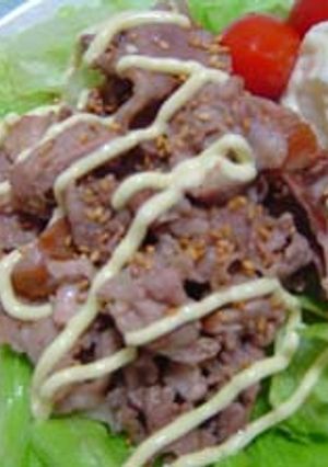 お酢で焼肉サラダ-レシピのメイン写真