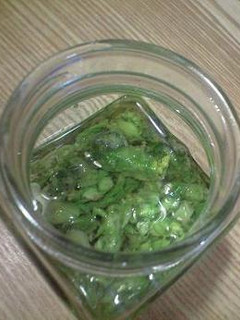 フキノトウのオイル漬け-レシピのメイン写真