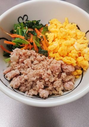 彩りバッチリ☆三色そぼろ丼-レシピのメイン写真