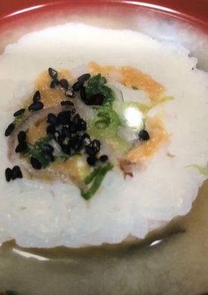 栄養満点みそまる茶漬け-レシピのメイン写真