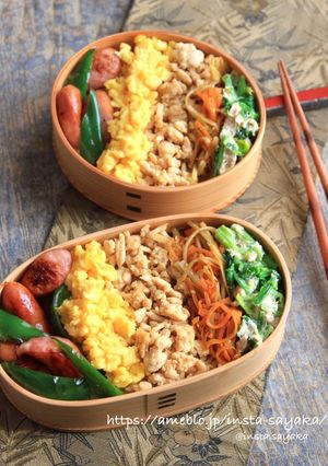 映える！五色のそぼろ丼弁当【詰め方有】-レシピのメイン写真