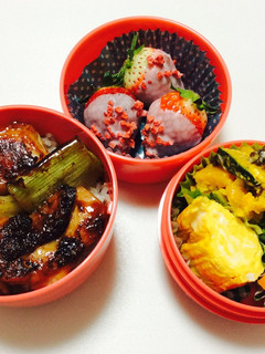 108、ミニ照り焼き丼と春先取り弁当♡-レシピのメイン写真
