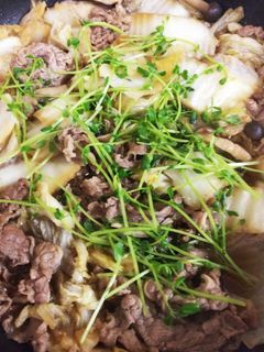 白菜と牛肉の炒め煮…-レシピのメイン写真