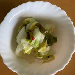 รูปของ 白菜の甘酢漬け
