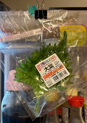 大葉の保存方法-レシピのメイン写真
