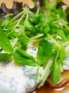 豆腐南蛮-レシピのメイン写真