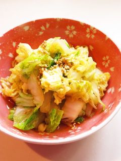 ☺レンジで簡単もう一品♪白菜のおひたし☺-レシピのメイン写真